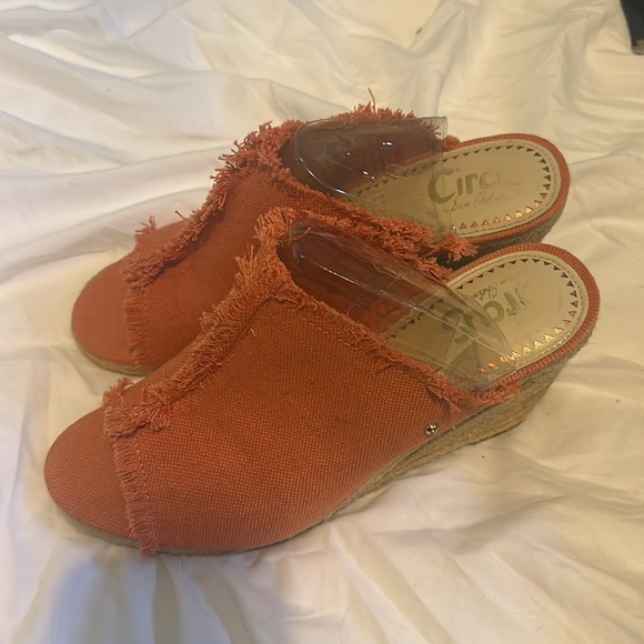 Circus - Picture 2 of 4